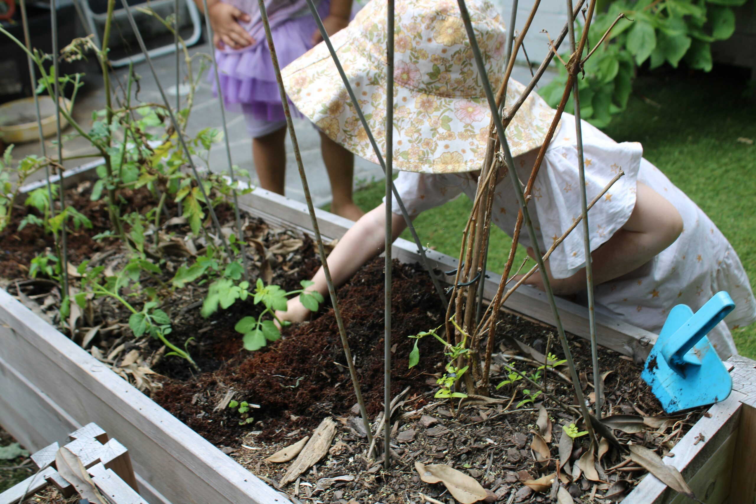 Beginner-Friendly Raised Garden Bed Projects and FAQs