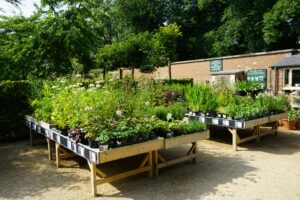 Choosing the Right Size for Raised Garden Beds