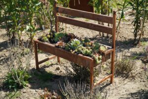 Creative Raised Garden Bed Ideas and Layout Inspiration