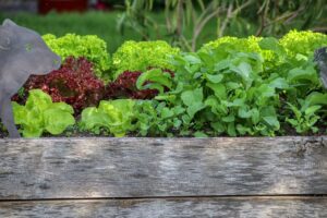 Ergonomic and Attractive DIY Raised Bed Garden Designs