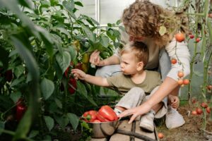 Harvest More with DIY Raised Garden Beds