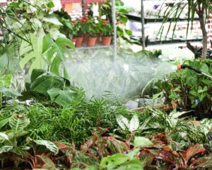 How Raised Garden Beds Improve Drainage for DIY Gardeners