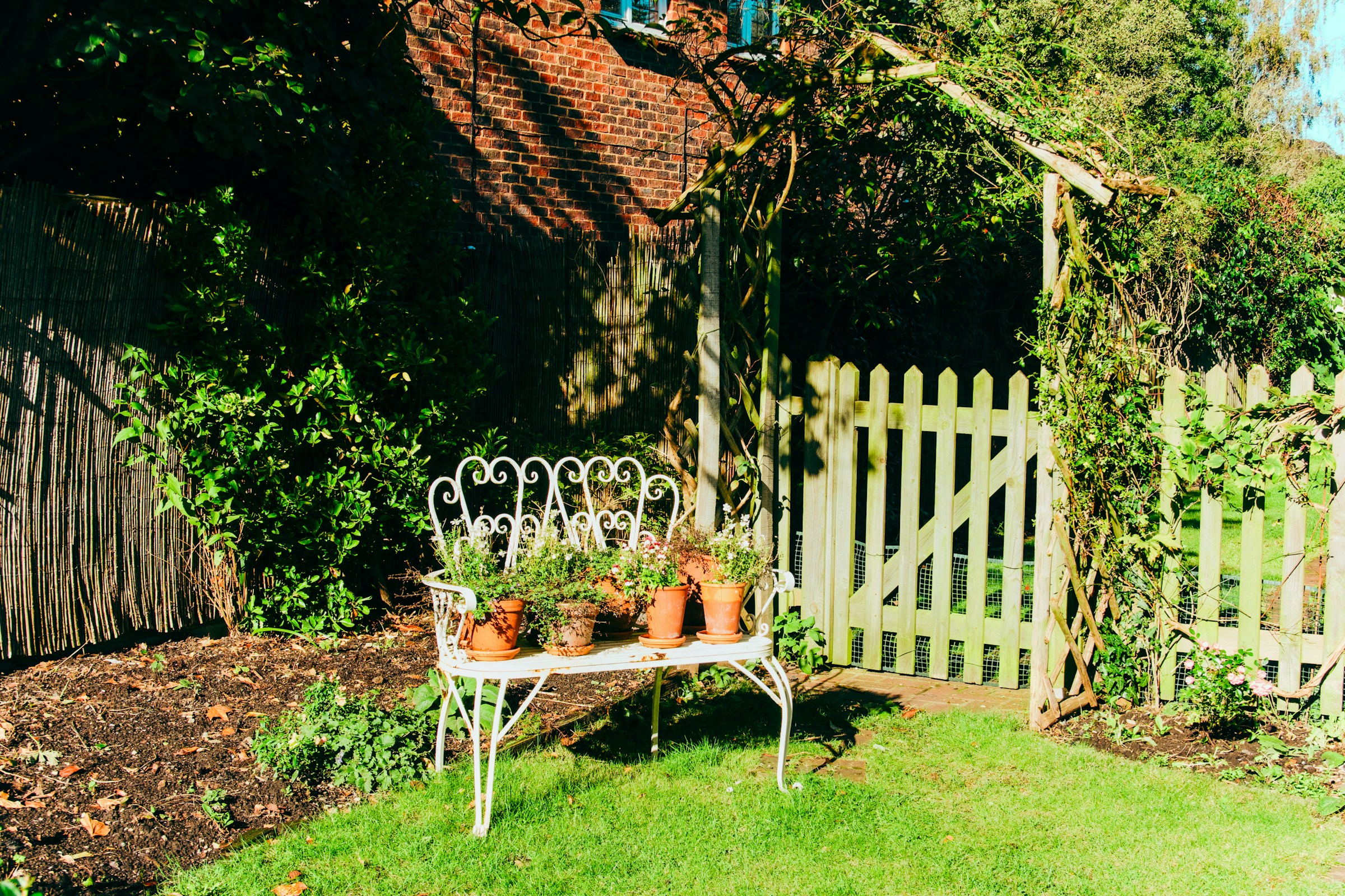 How to Choose the Best Location for Your Raised Bed Garden