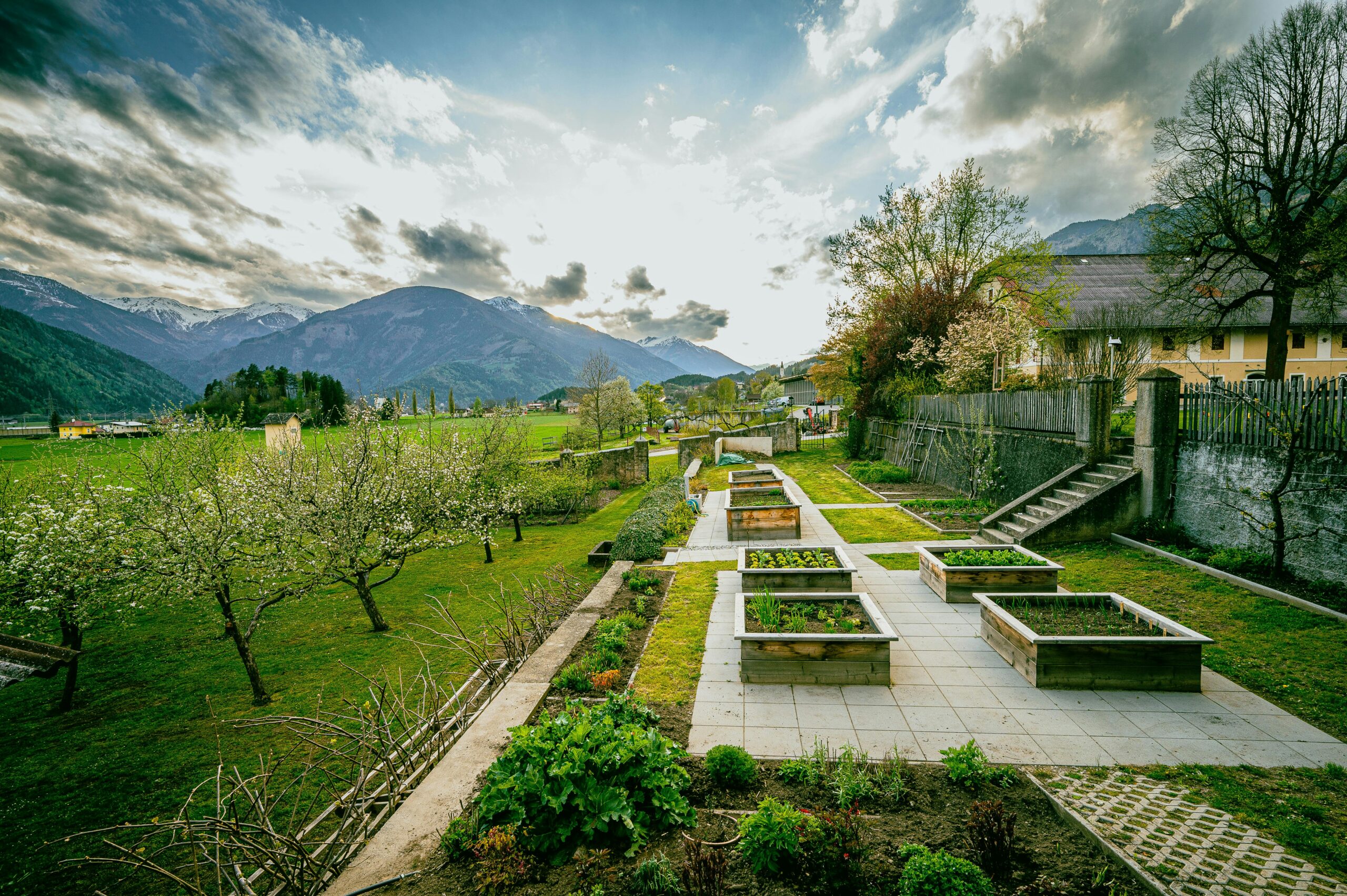 Lush DIY Raised Garden Beds for a Thriving Home Garden