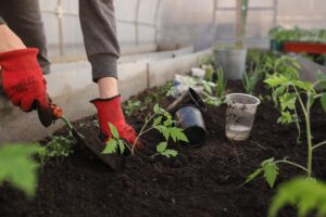 Raised Bed Garden Ideas Superior Soil for Healthy Plants