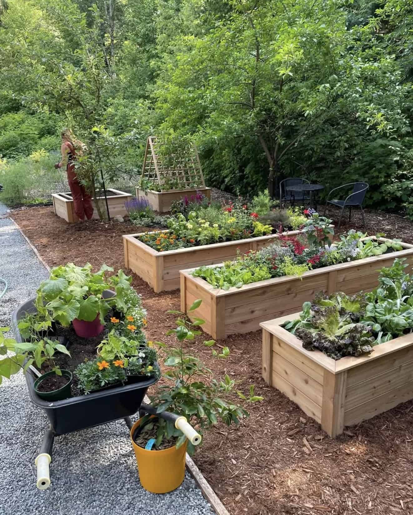 Raised-Garden-Bed-Ideas-Maximize-Small-Garden
