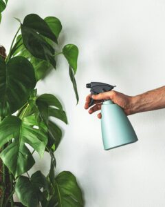 Rubbing Alcohol Solution