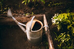 Top DIY Tips for Raised Bed Garden Success
