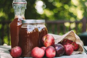 apple-cider-vinegar-gnat-trap-diy