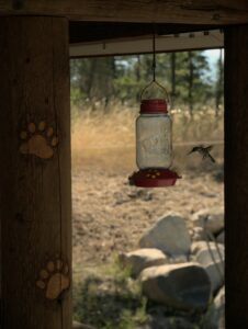 covered hummingbird feeder