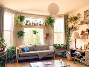 cozy guest bedroom with a variety of lush indoor