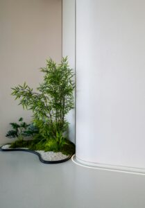 decorative-ideas-low-light-plant-arrangements