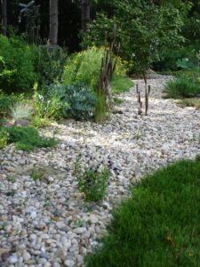 dry-creek-bed-garden