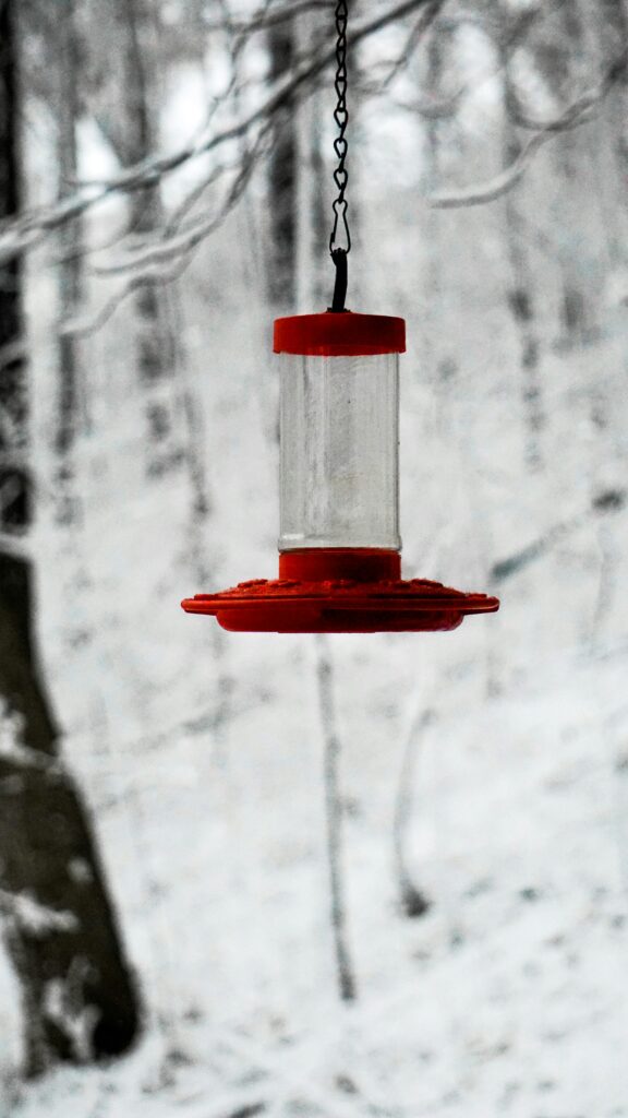 hummingbird feeder winter heater