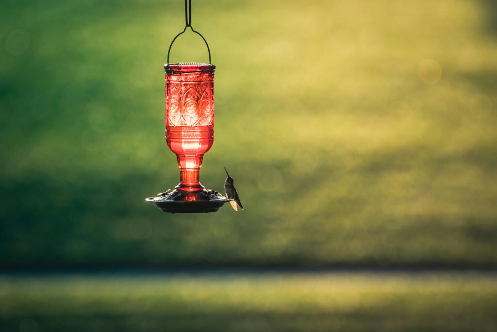 hanging-hummingbird-feeder