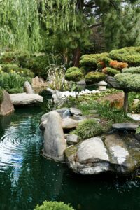 landscaping stones around water