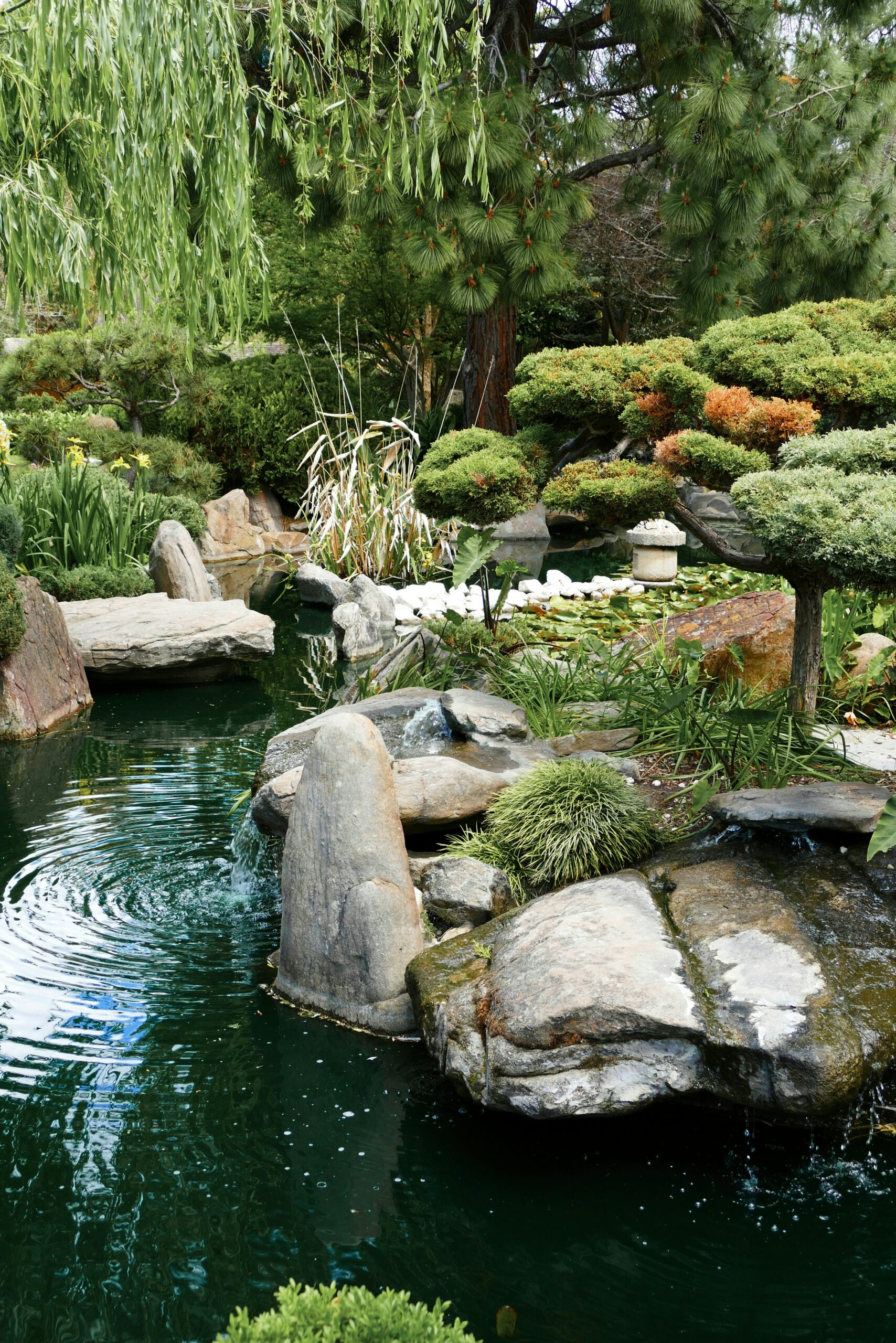 landscaping stones around water