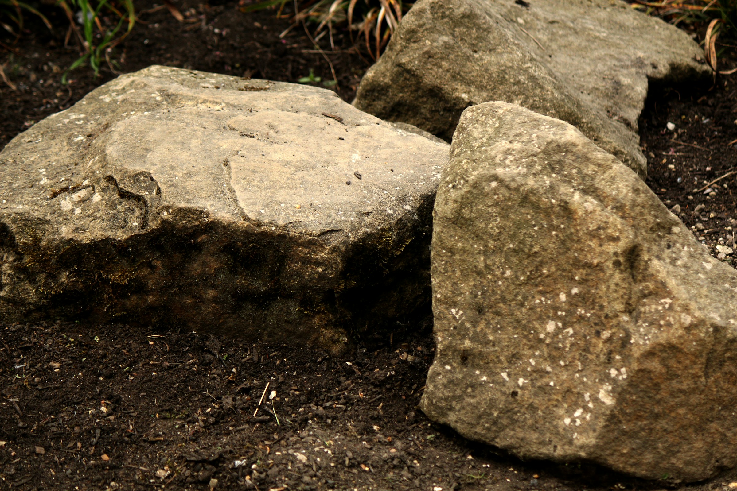 large boulder in garden