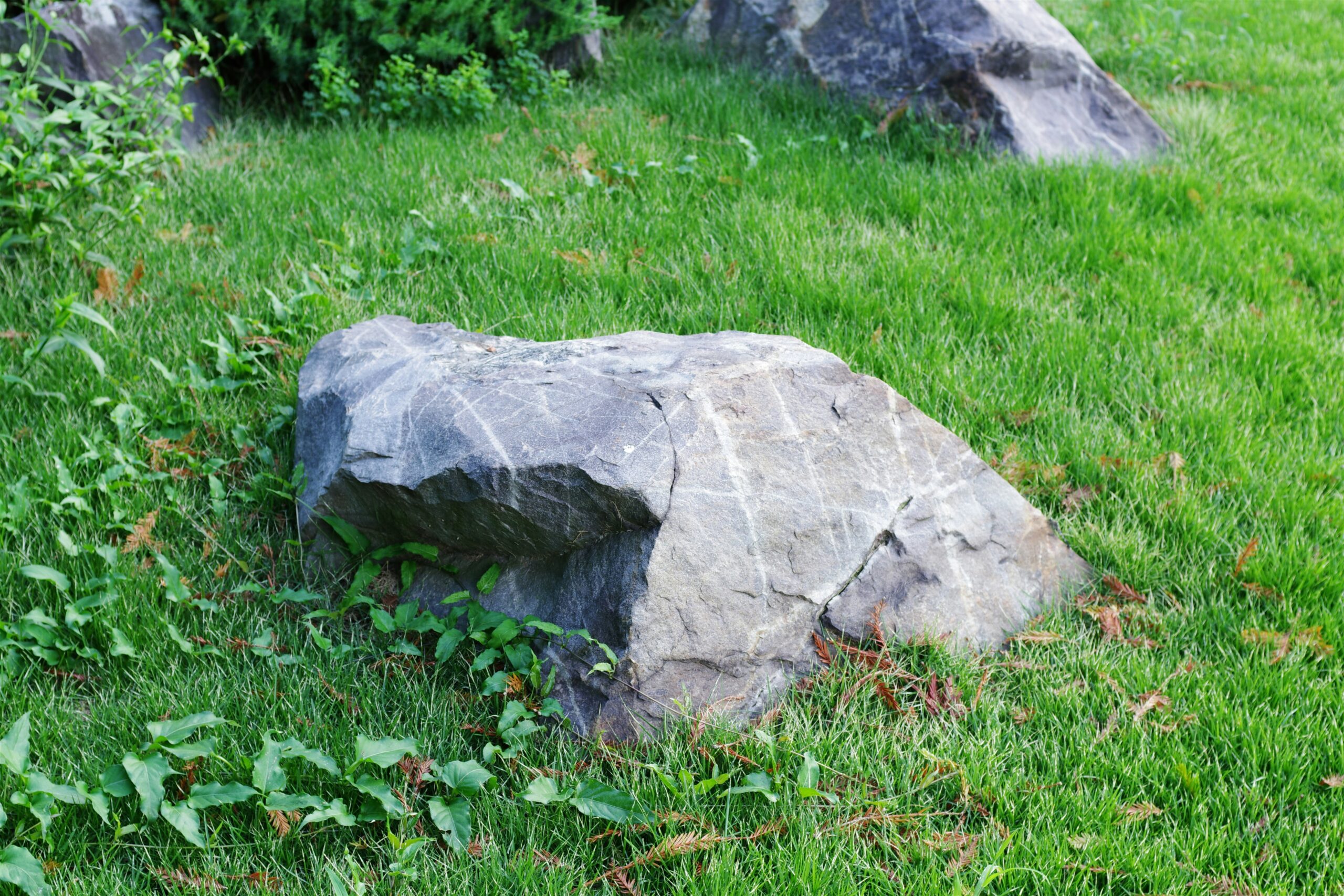large-rocks-landscaping