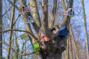 multiple-hummingbird-feeders-attracting-hummingbirds