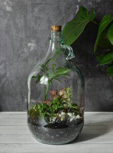 plants-no-natural-light-indoor
