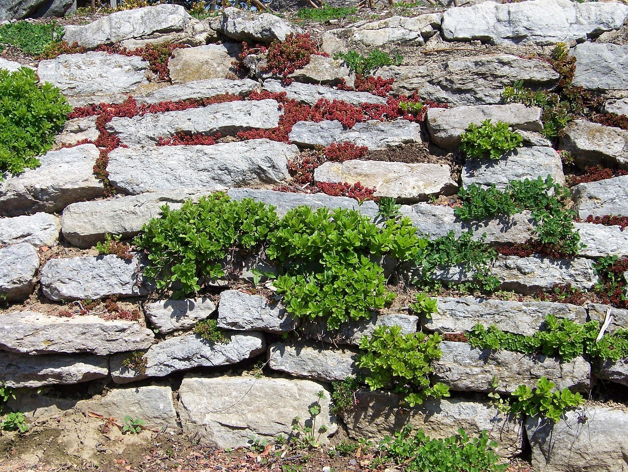 rock retaining wall garden
