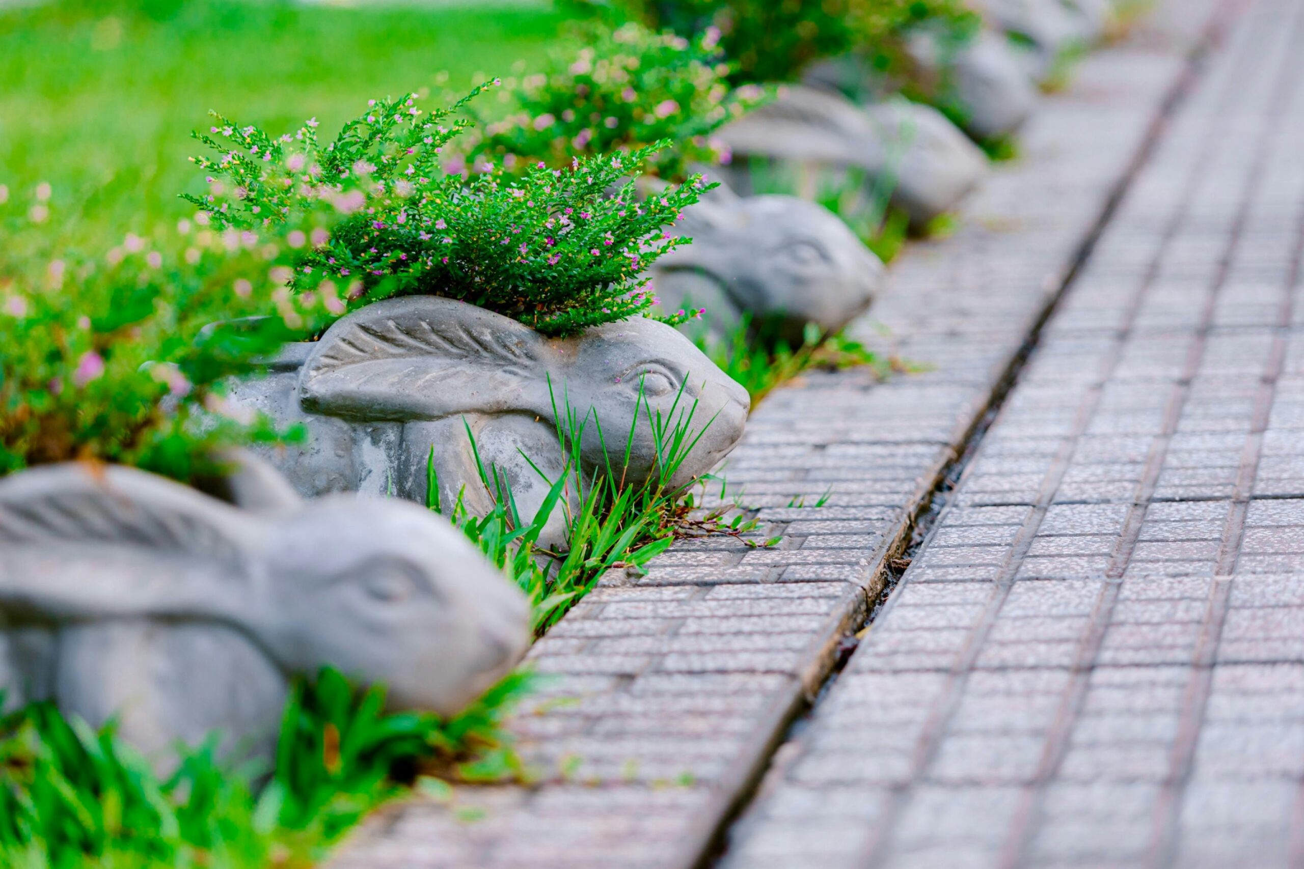 10 Essential Landscaping Stone Ideas to Transform Your Yard Fast