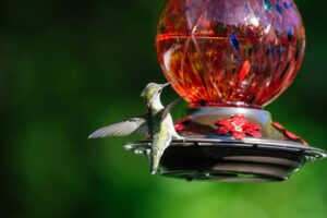 unique-hummingbird-feeders