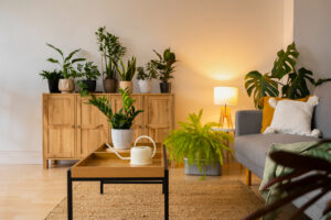 what-are-low-light-indoor-plants-zz-snake-pothos