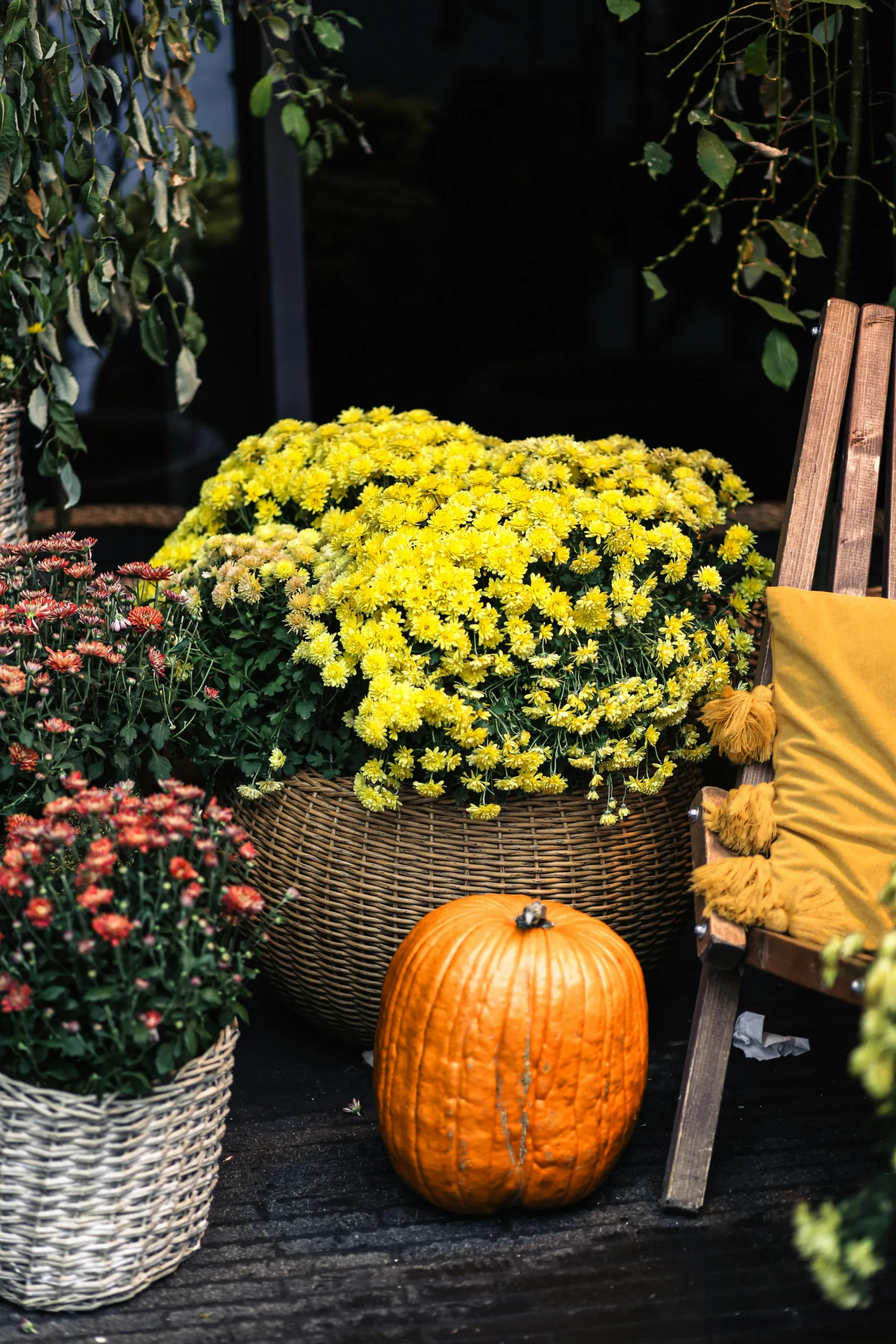 fall planter ideas