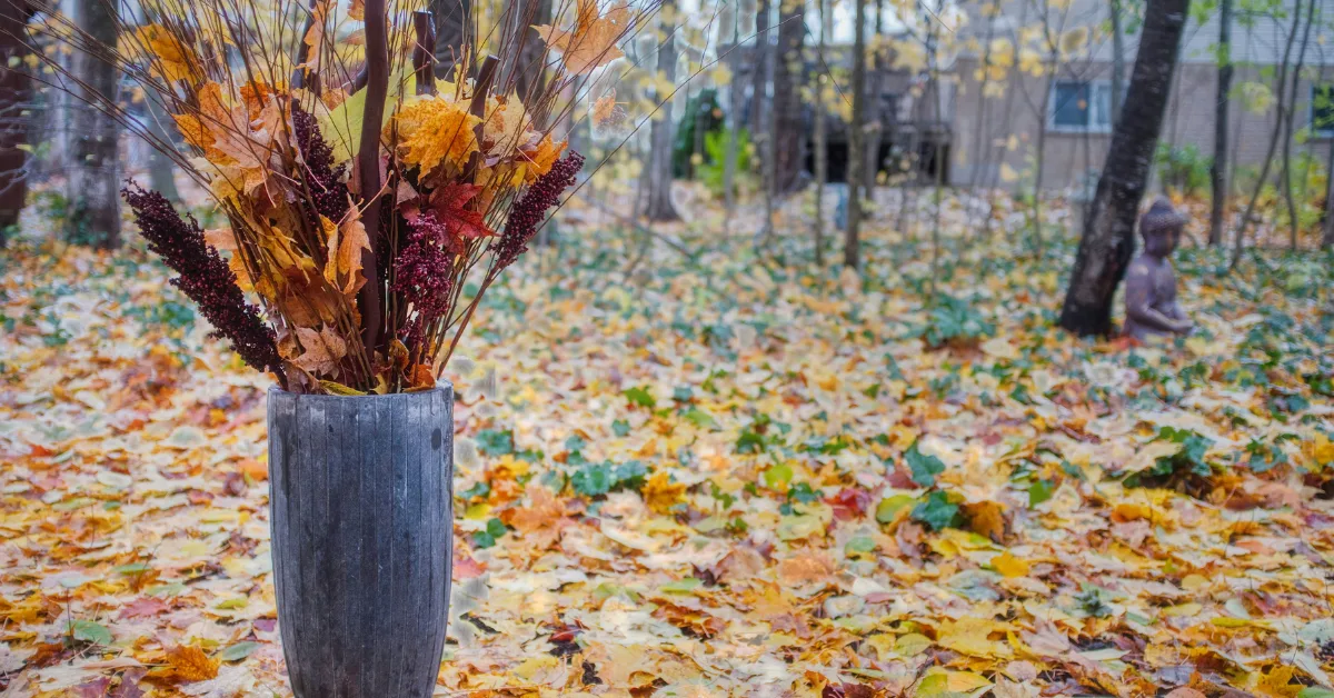 5 Unique Fall Planter Ideas to Transform Your Outdoor Space