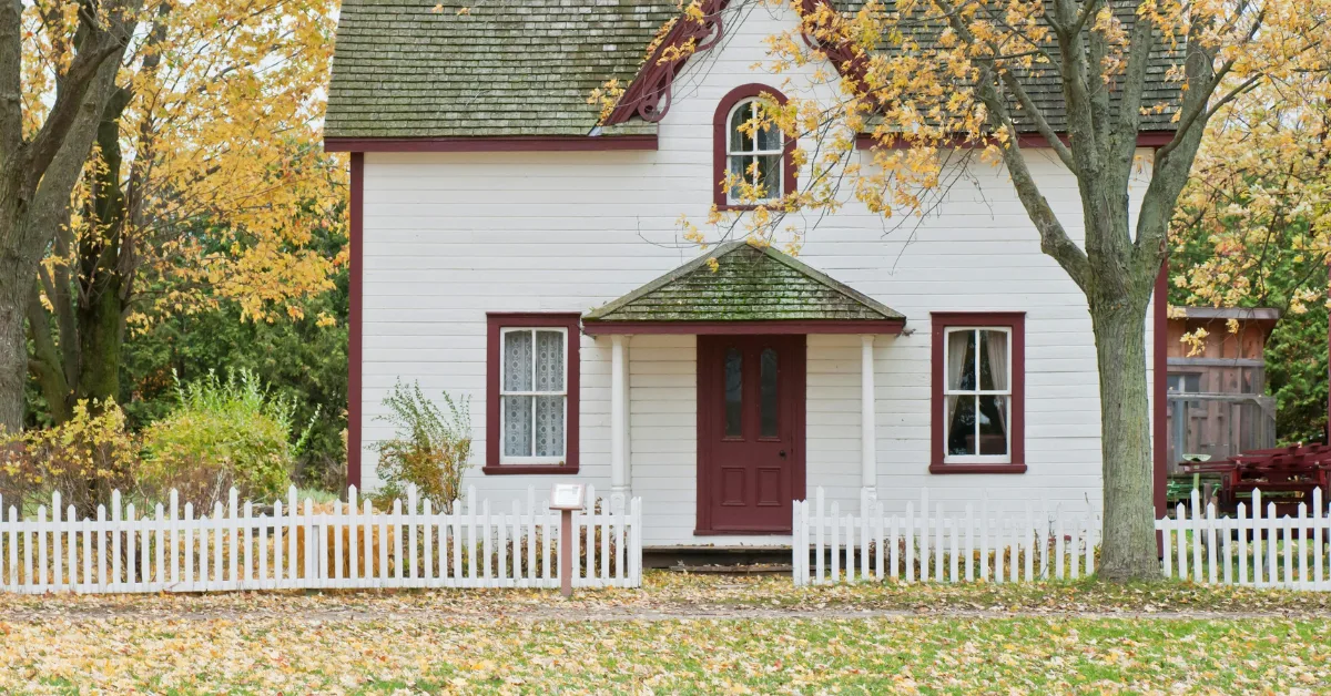 5 Unique Ways to Celebrate Autumn with a Fall Tree