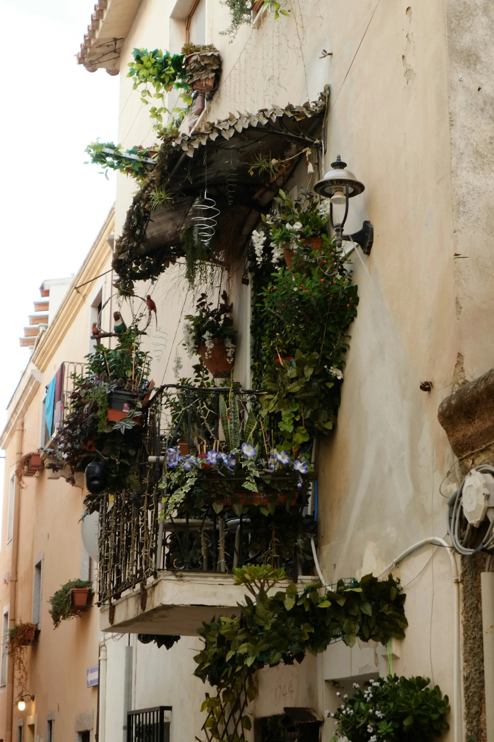 flower boxes for railings,