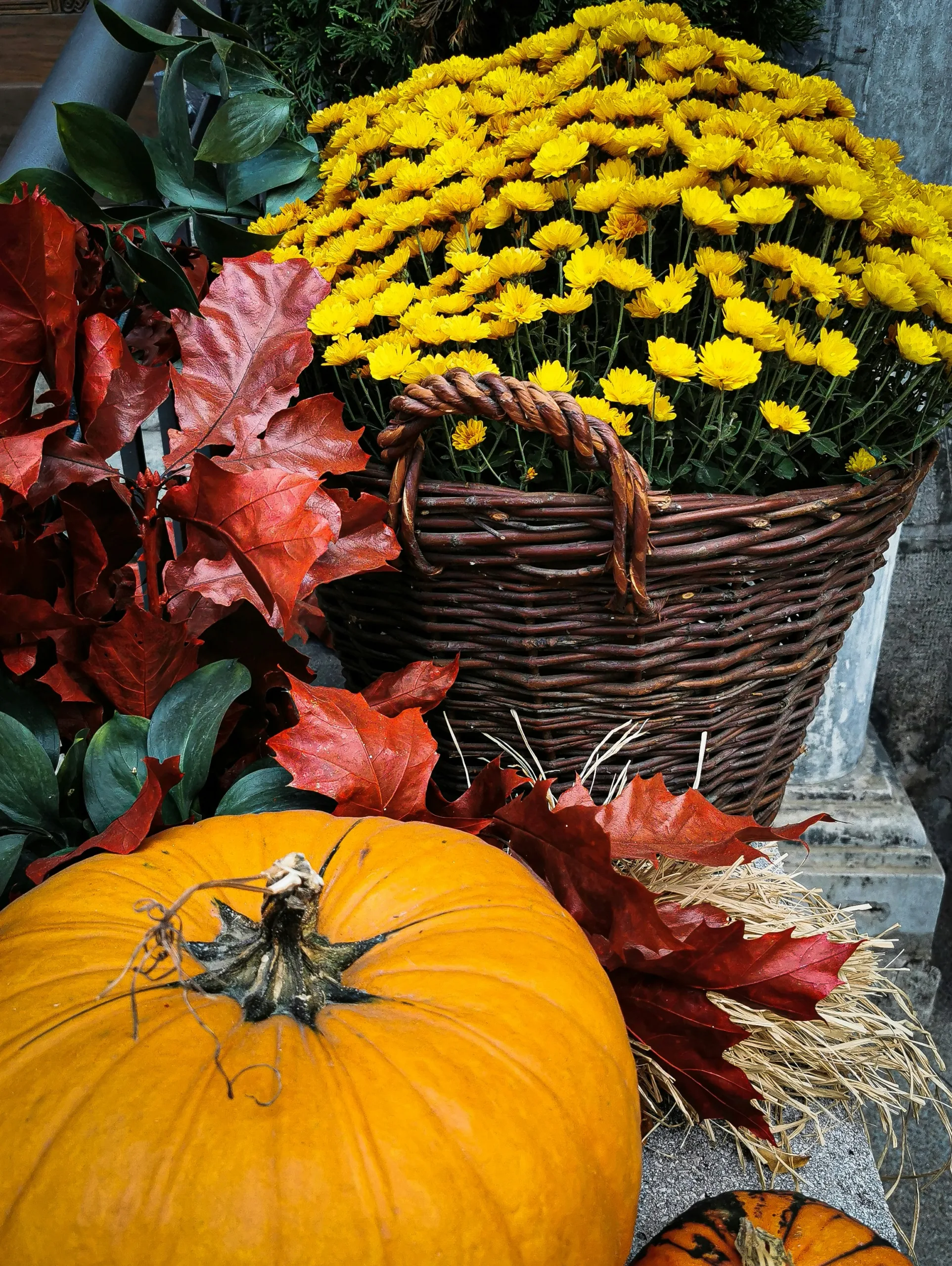 large fall planter ideas