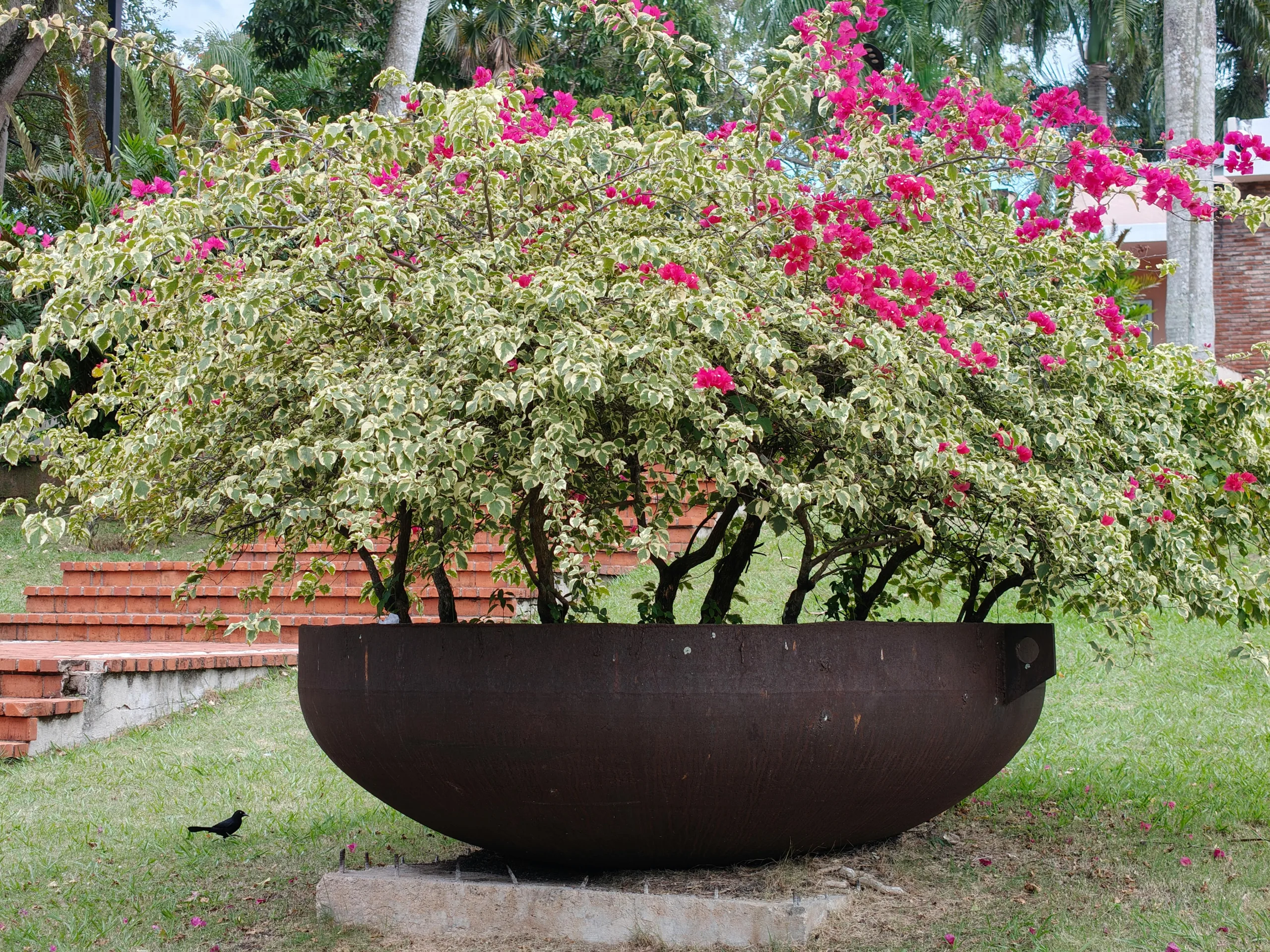 large fall planter ideas