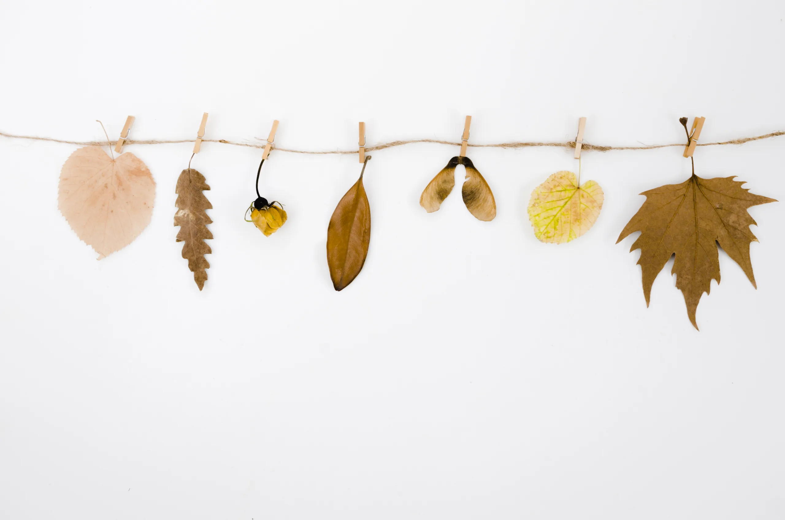 diy-fall-garland-eucalyptus-dried-orange-slices-handmade-autumn-decor