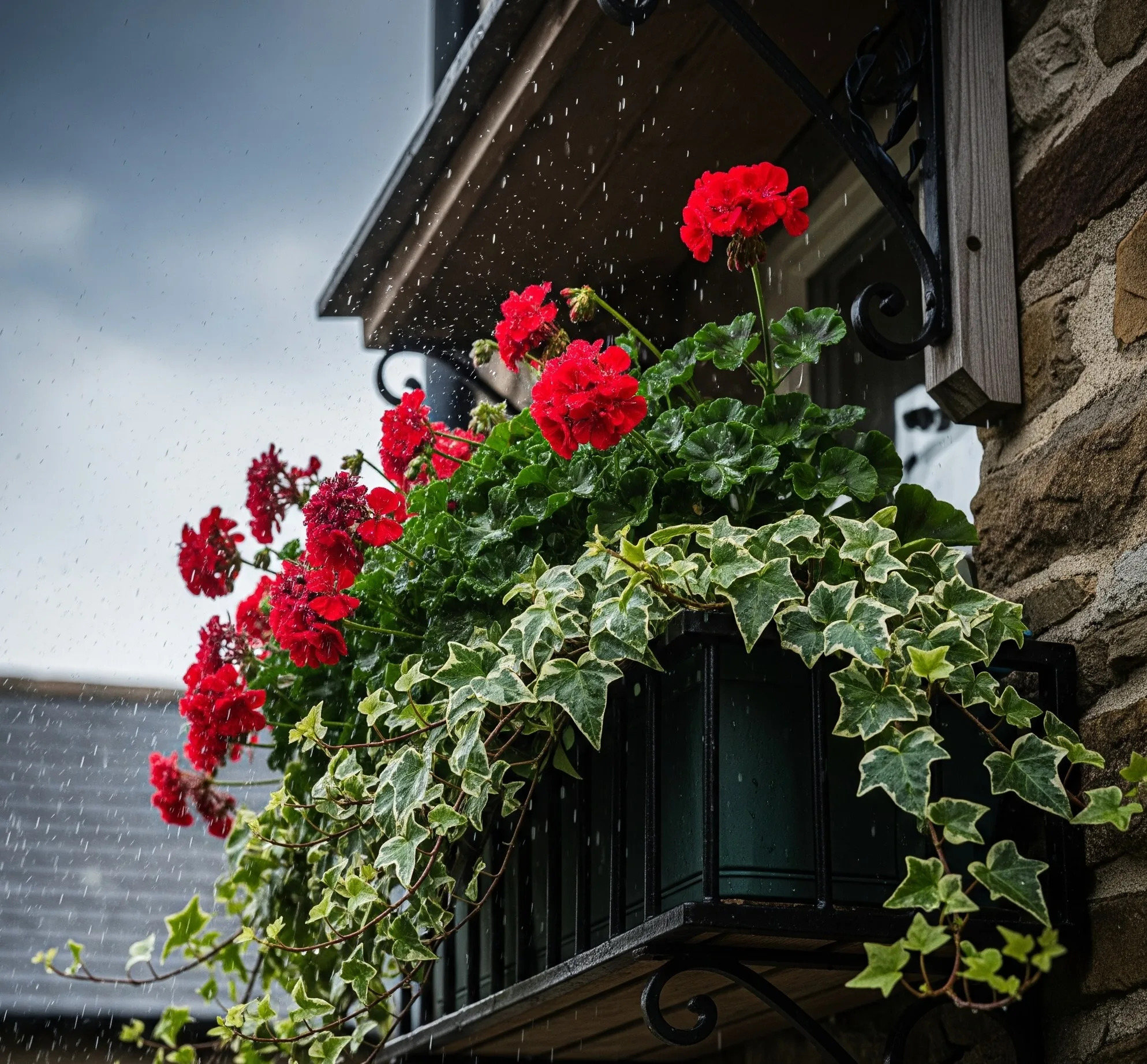 protecting-flower-boxes-from-weather
