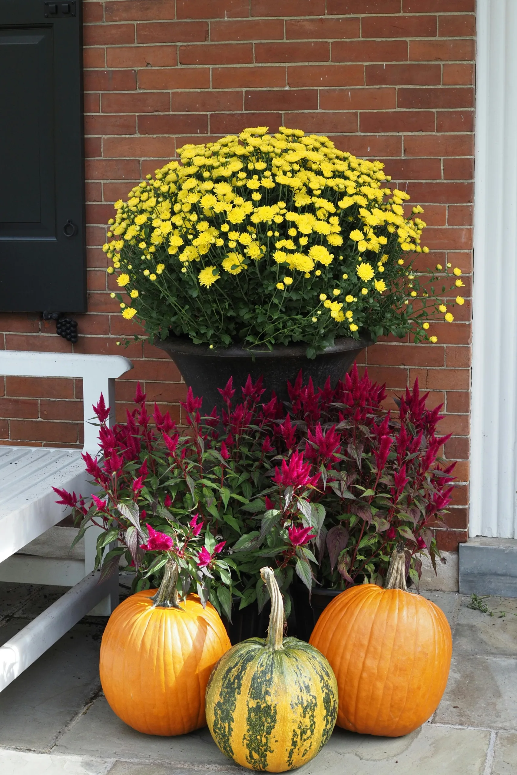 seasonal-selections-flower-boxes
