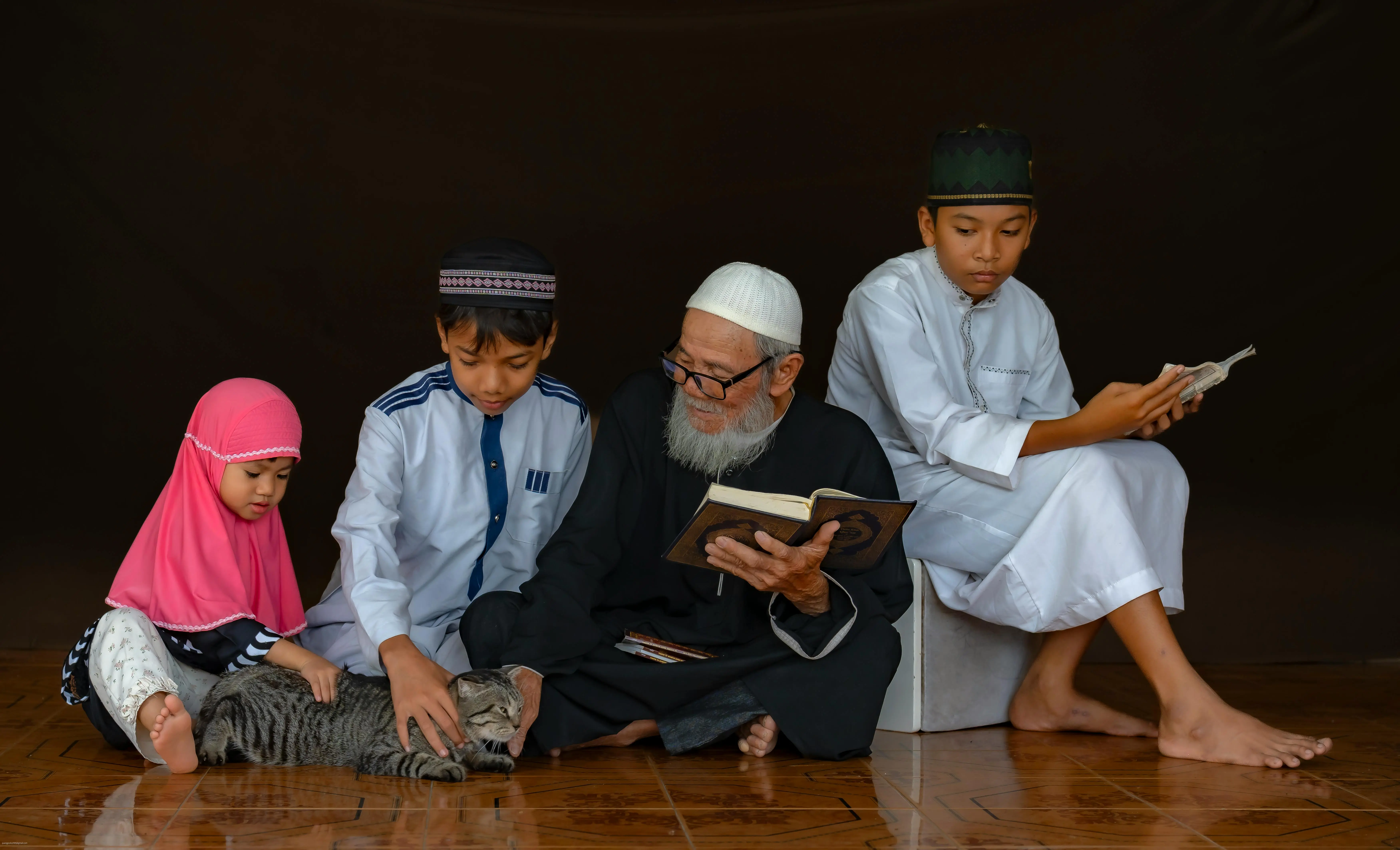 calathea toxic to cats Understanding What Happens If Your Cat Eats Calathea