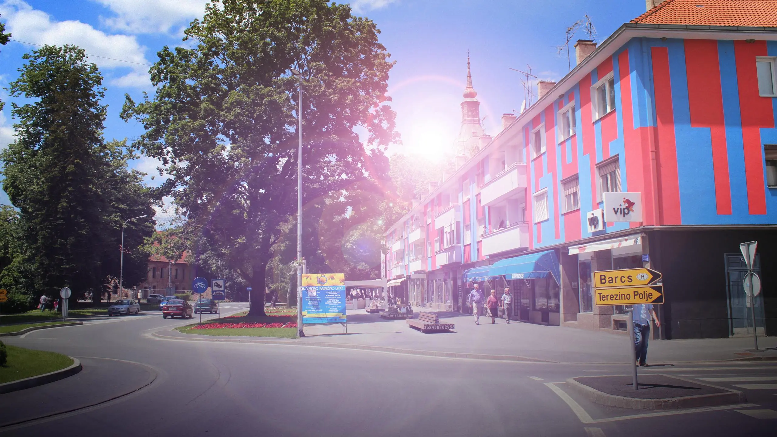 direct sunlight plants What Defines a Direct Sunlight Plant?