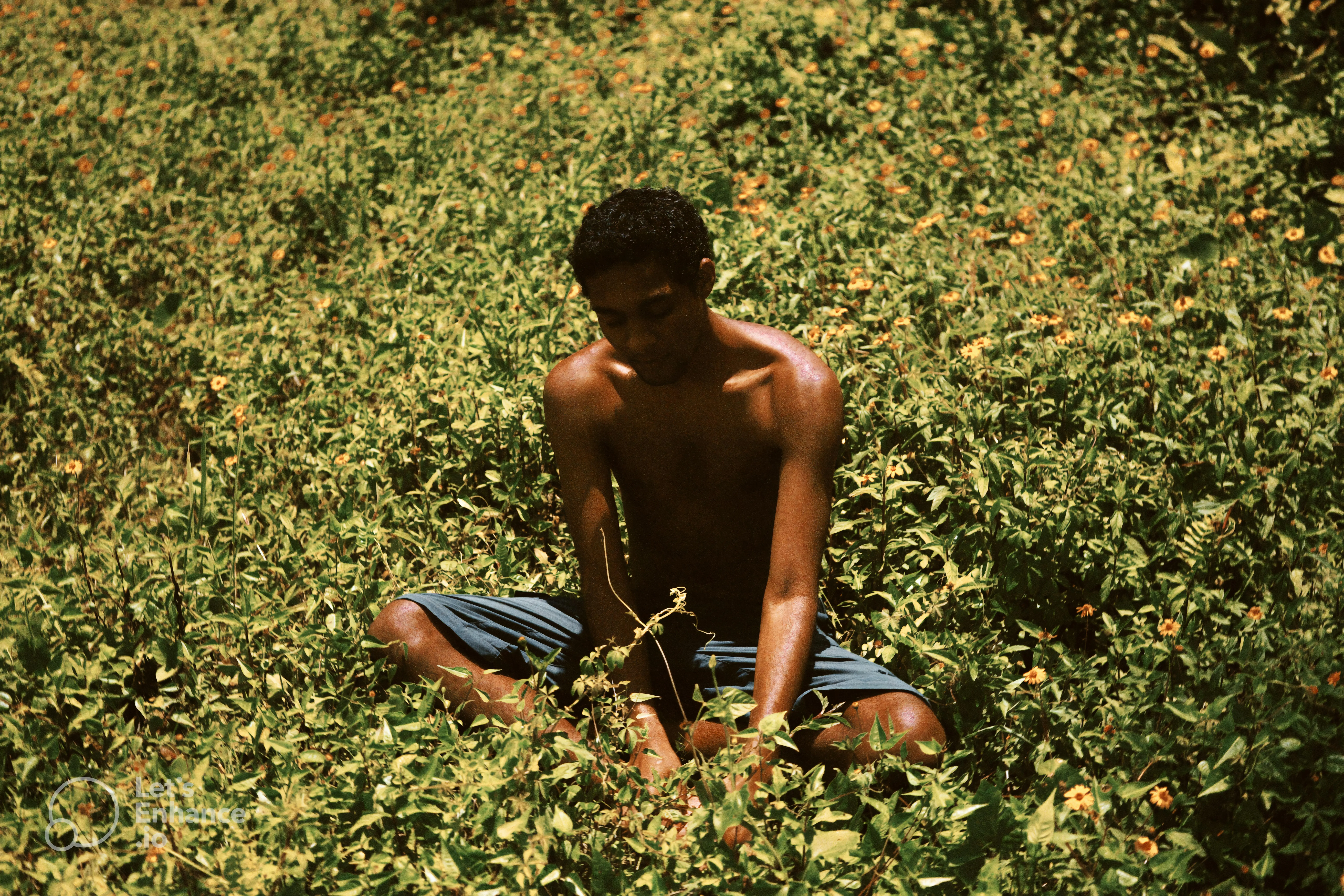 plants for lots of sun Shirtless man sitting in a sunlit field of lush green plants and yellow flowers.