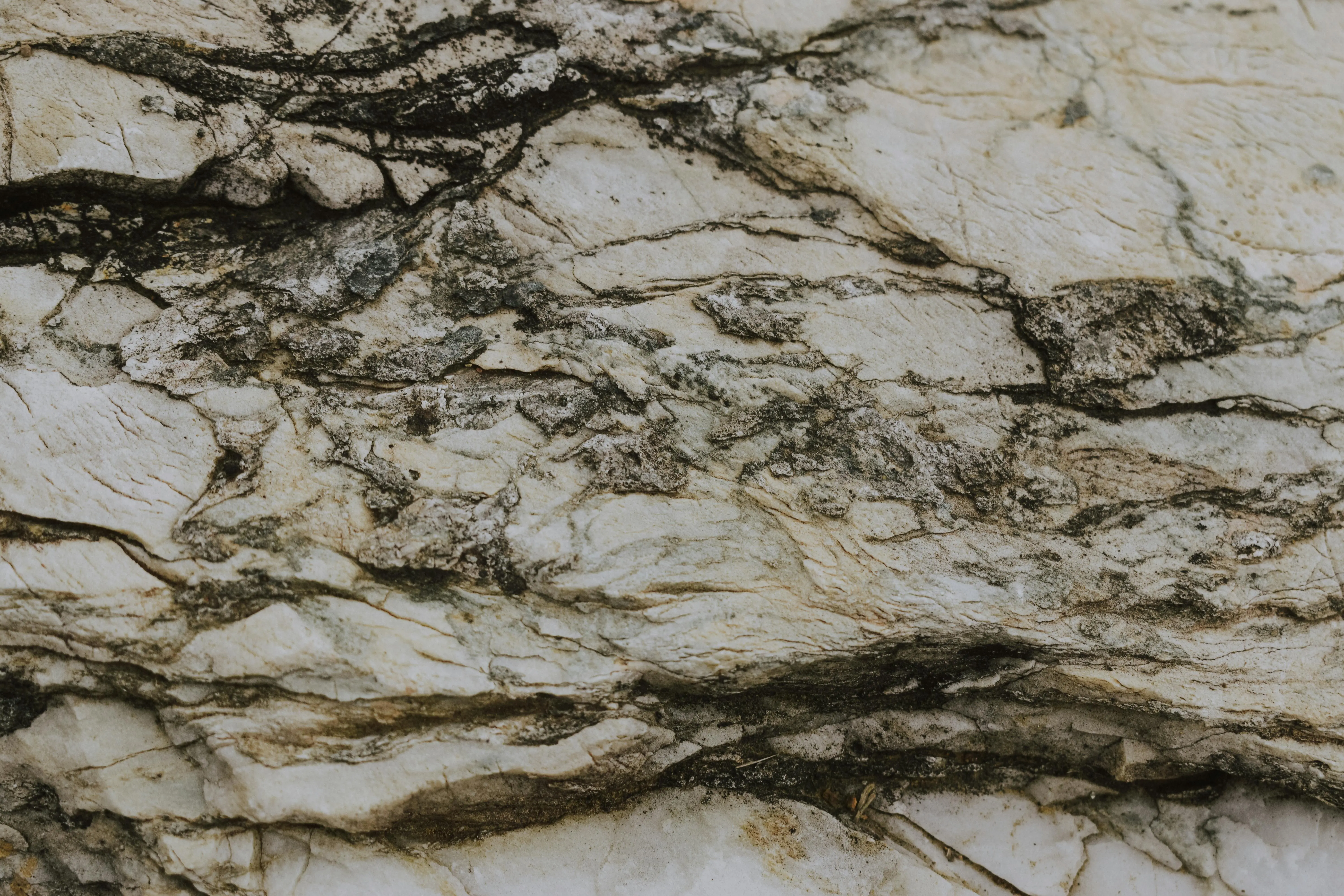 calacatta gold quartz Close-up view of a natural stone texture with visible cracks and details, suitable for backgrounds.