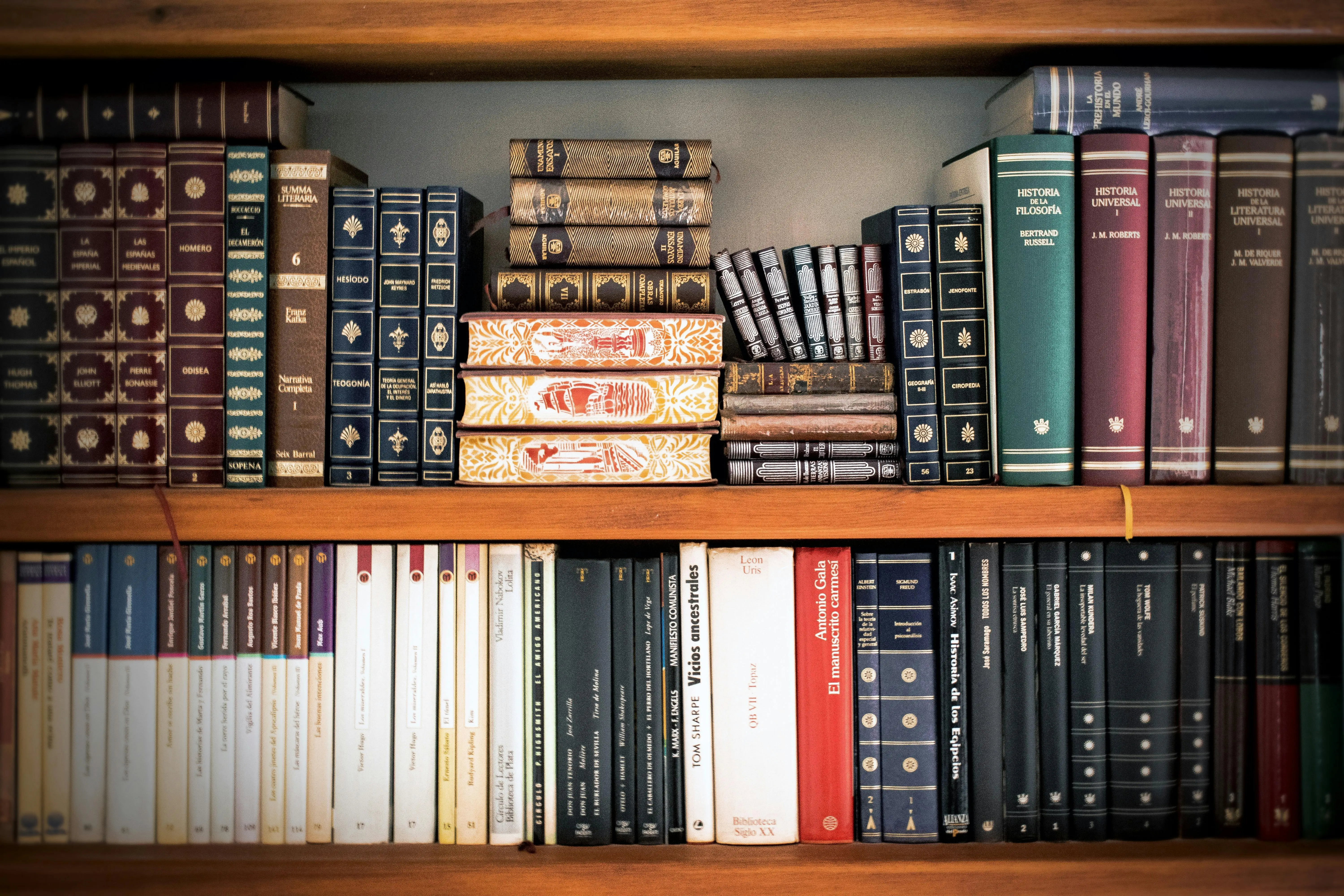 wire closet shelving A detailed view of a bookshelf with vintage and classic books arranged neatly, offering a historic ambiance.