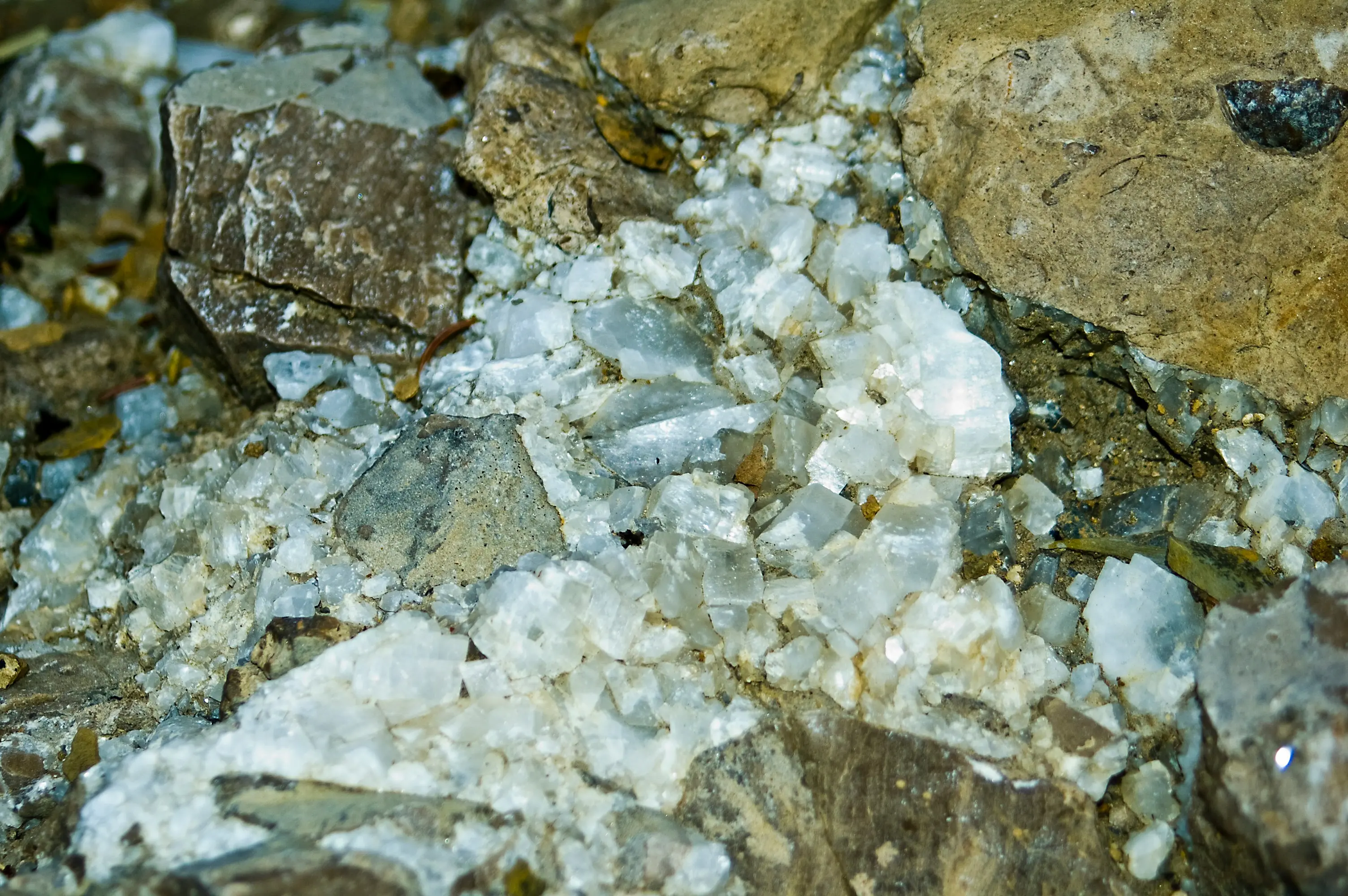 Calacatta Quartz : 7 Dazzling Reasons to Love It !