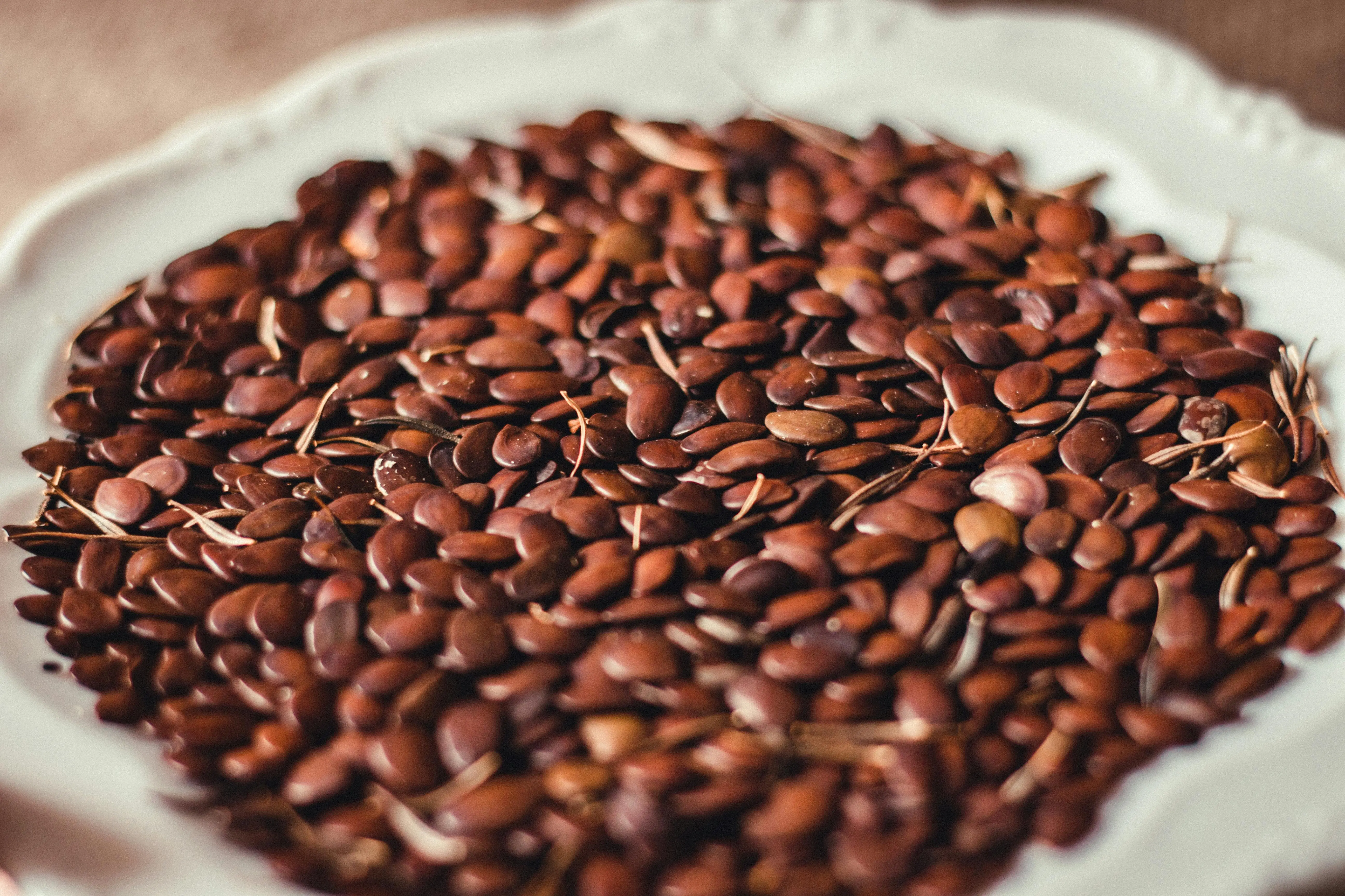flax lily High-resolution close-up of brown flax seeds on a decorative plate.