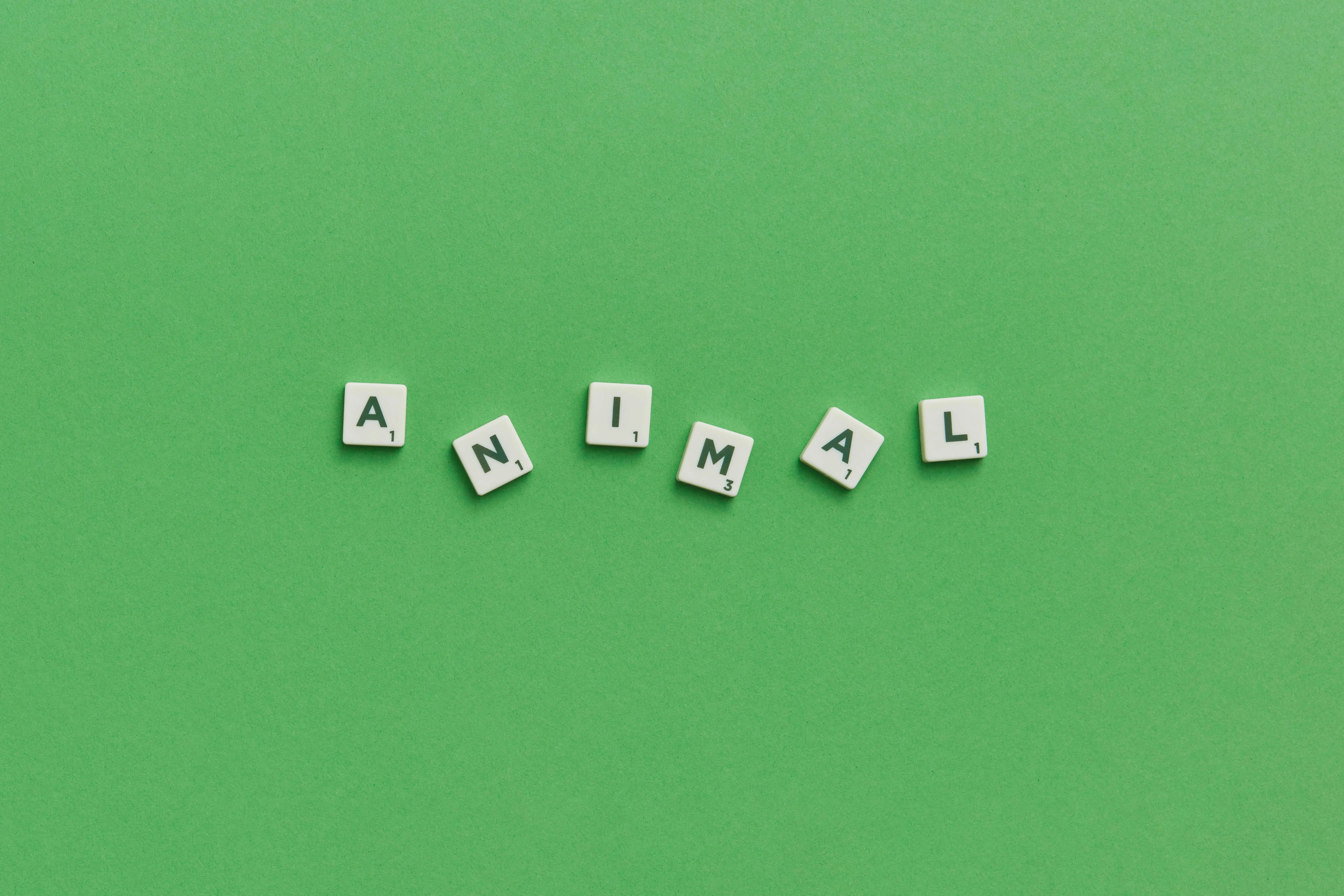 green tile Scrabble tiles spelling 'animal' on a vibrant green background, providing conceptual space.