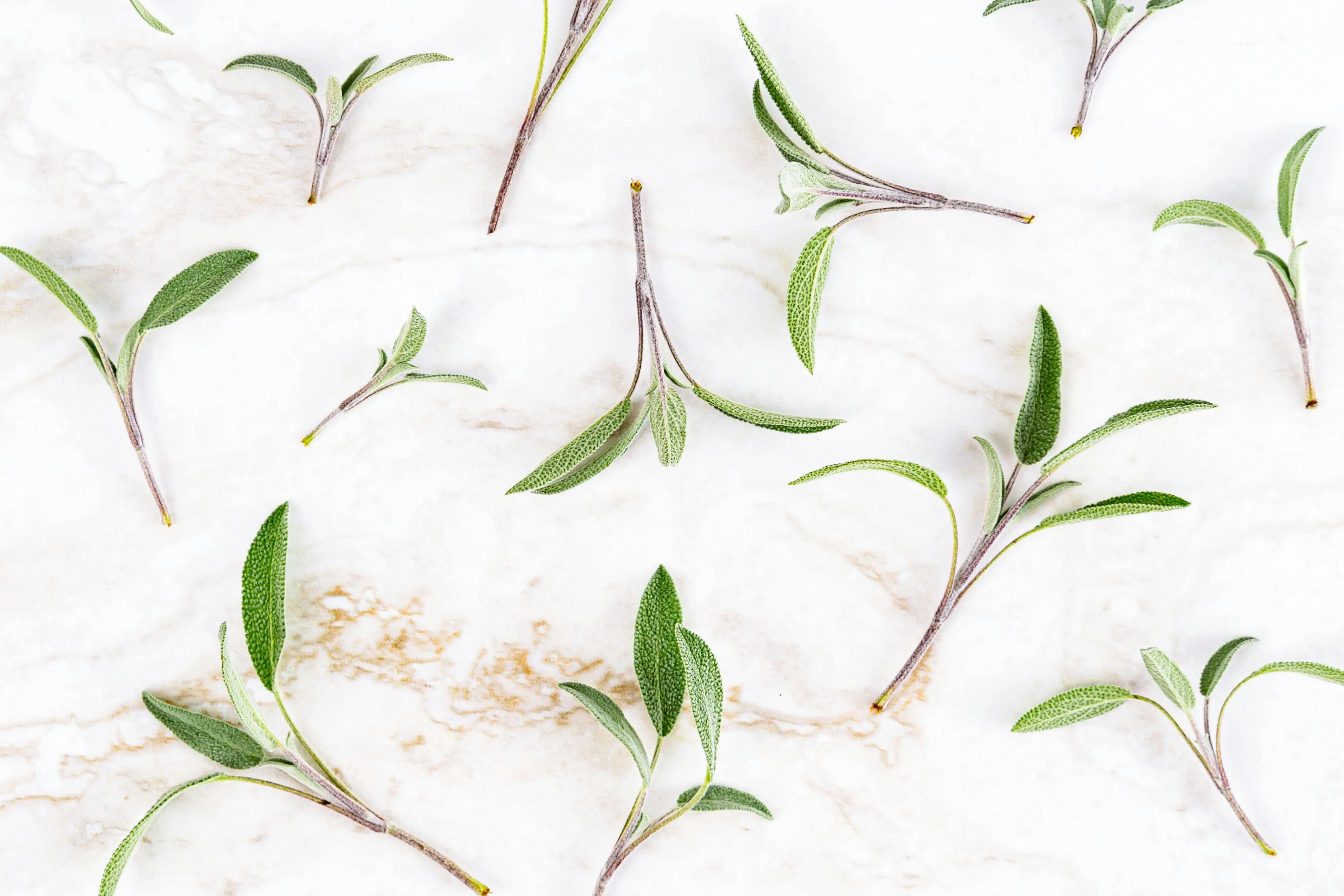 green tile Scattered sage leaves on a marble surface for culinary and herbal themes.
