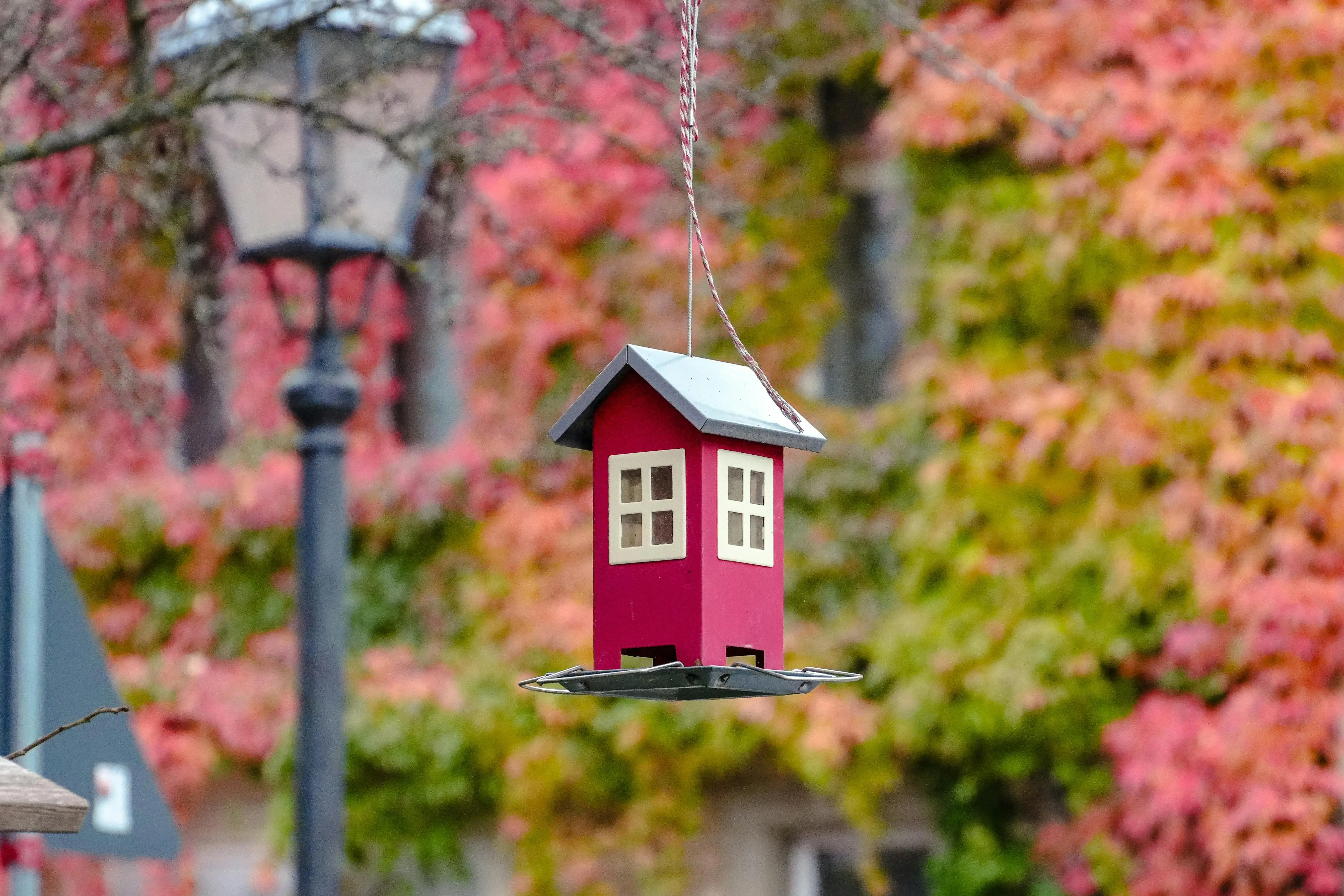mini lamp A red birdhouse hangs outdoors with vibrant fall foliage backdrop.