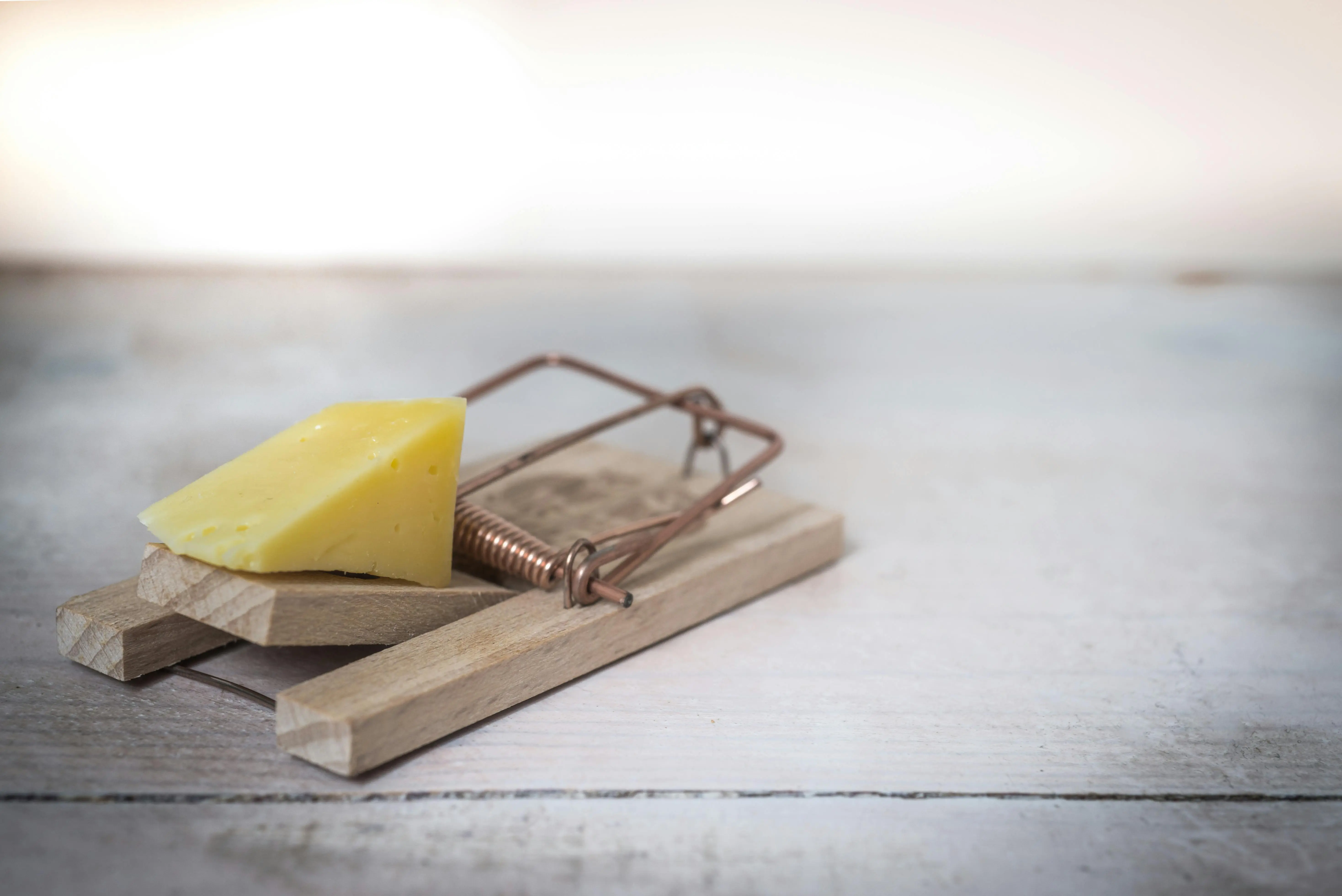 rat poison box Close-up of a wooden mousetrap with a piece of cheese on a rustic table surface.