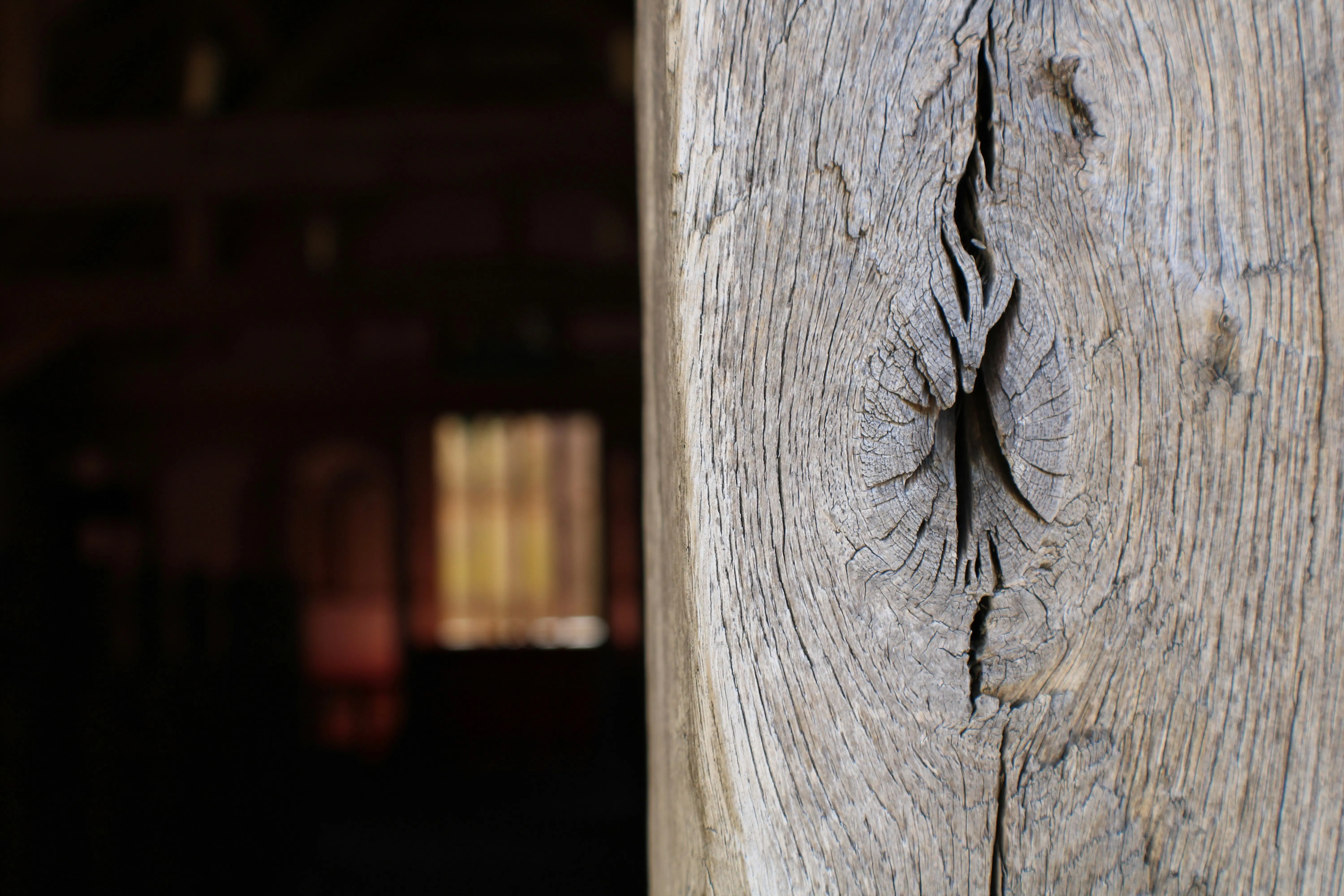 How to Get Rid of Spiders in Your House : 7 Steps